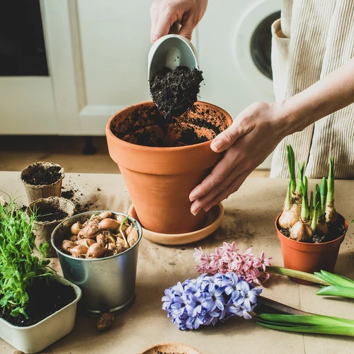 Aktivt kokoskul til planter 0,9 L - 7
