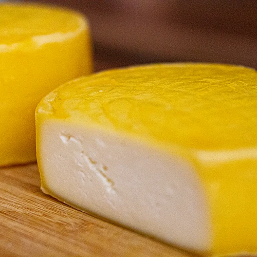 Bakteriekulturer til goudaost - 5