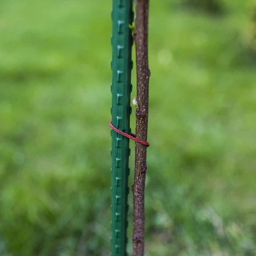 Bioogród havepinde – belagt stål, 1,8 m, fi 11 mm, 10 stk. - 5