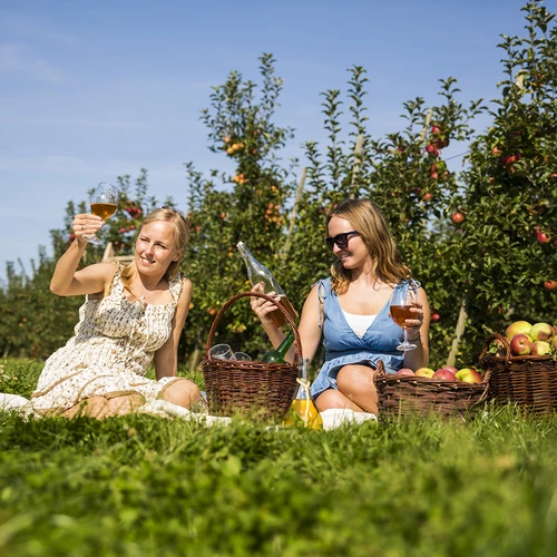 Cider sæt 20 L - 16