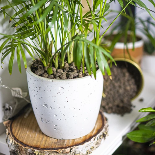 Leca til potteplanter, havebrug og skove i glas 10–20 mm, 4L - 11