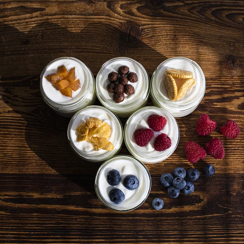 Oste-yoghurtmaskine med termostat 1,5 L - 17