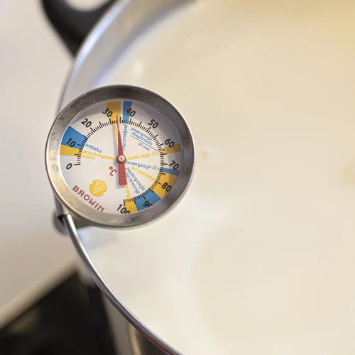 Ostetermometer (0°C til +100°C) 19,8cm - 3