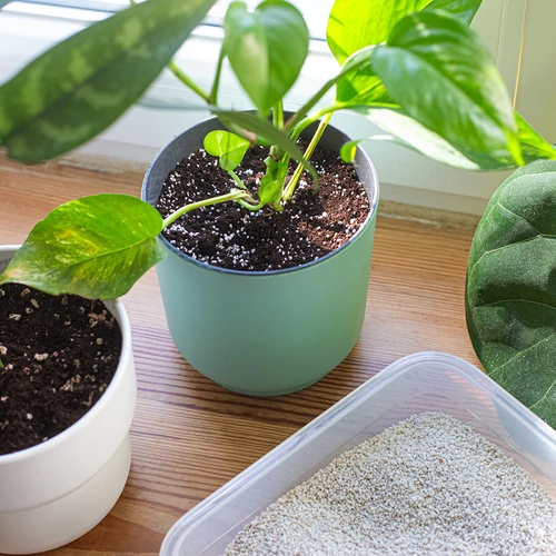 Perlit til potteplanter og havebrug, 2L - 8