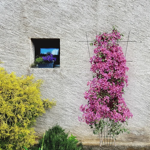 Planteunderstøttelse - gitter (150cm x 75cm) 2 stykker - 4