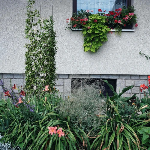 Planteunderstøttelse - havegitter 150 x 45cm - 4