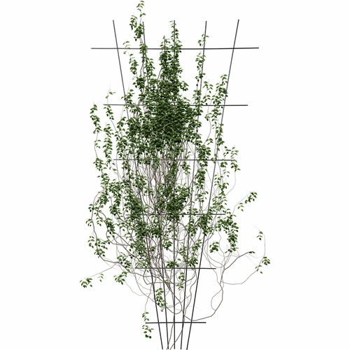 Planteunderstøttelse - tilspidset havegitter 150 x 75cm - 3