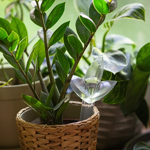 Plantevander – gennemsigtigt blad, 120 ml - 7