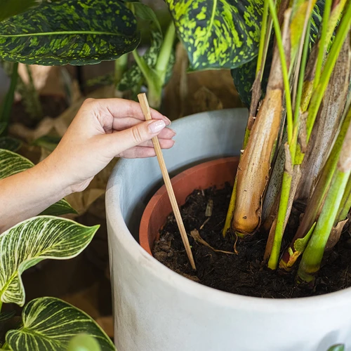 Plantevander – gennemsigtigt blad med keramisk fod, 120 ml - 7