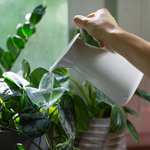 Plantevander – gennemsigtigt blad med keramisk fod, 120 ml - 8