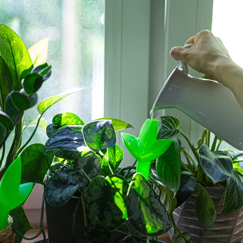 Plantevander – grønt blad med keramisk fod, 120 ml - 8