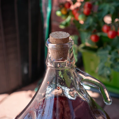Prop af kork 33/30 mm - 4