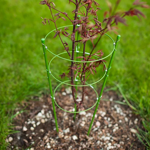 Ringstøtte til planter 3 ringe 1,5m - 3