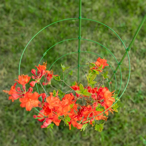 Ringunderstøttelse til planter 3 ringe 0,5m - 3