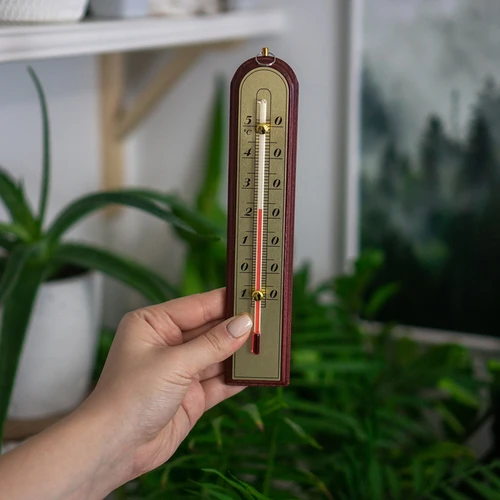 Rumtermometer med guldfarvet skala (-10°C til +50°C) 22cm, mix - 3