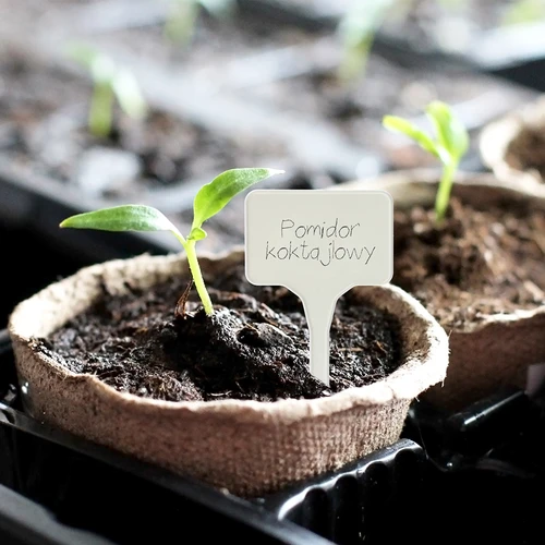 Skilte til beskrivelse af planter + blyant mix 10+20 stk. - 11