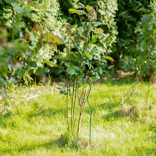 Spiralformet stålstang 1,50m x 6mm - 3
