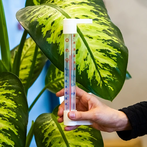 Udendørs termometer med transparent skala (-70°C til +50°C) 23cm mix - 3