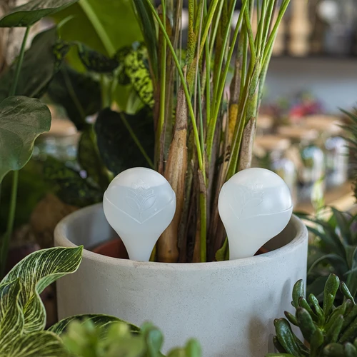 Vandingskugle til planter, mat hvid med keramisk fod, 400ml - 9