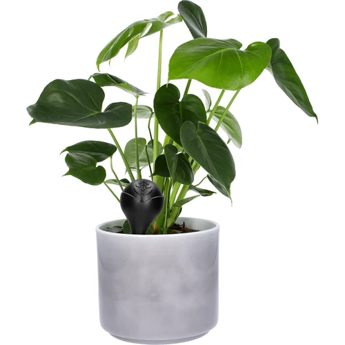 Vandingskugle til planter, sort mat med keramisk fod, 400ml - 7