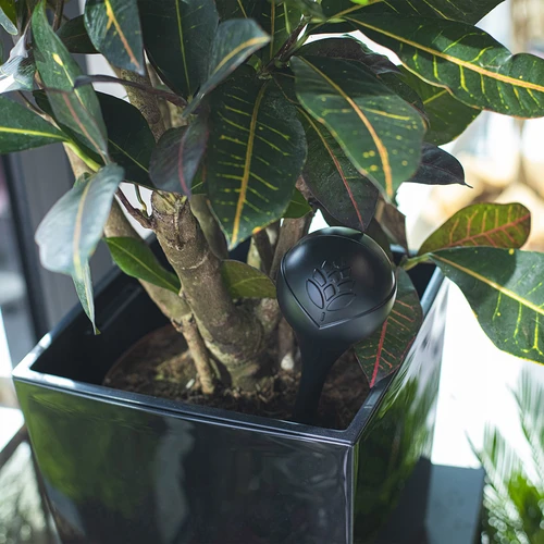 Vandingskugle til planter, sort mat med keramisk fod (i pakke) 400 ml - 11