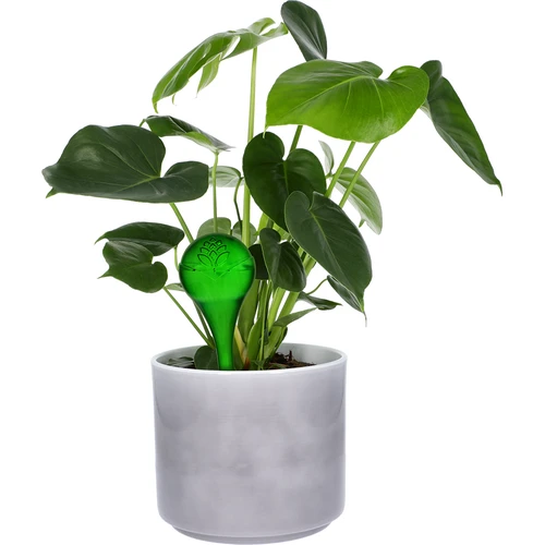Vandingskugler til planter, grønne gennemsigtige, 400 ml, 4 stk. - 6