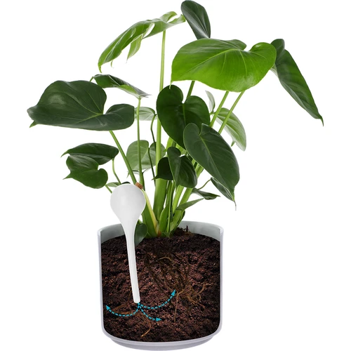 Vandingskugler til planter, hvide halvgennemsigtige med prop, 400ml, 4 stk. - 6