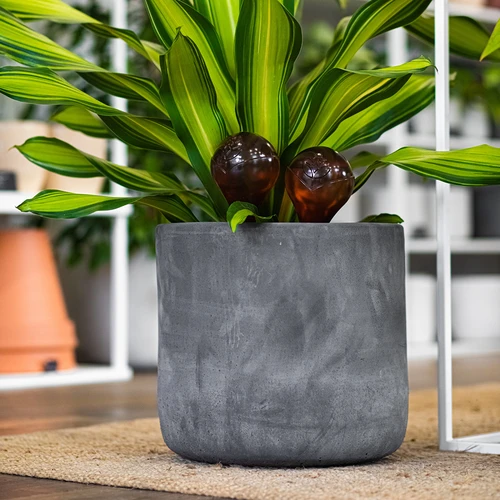 Vandingskugler til planter, ravfarvede gennemsigtige, 400 ml, 4 stk. - 12
