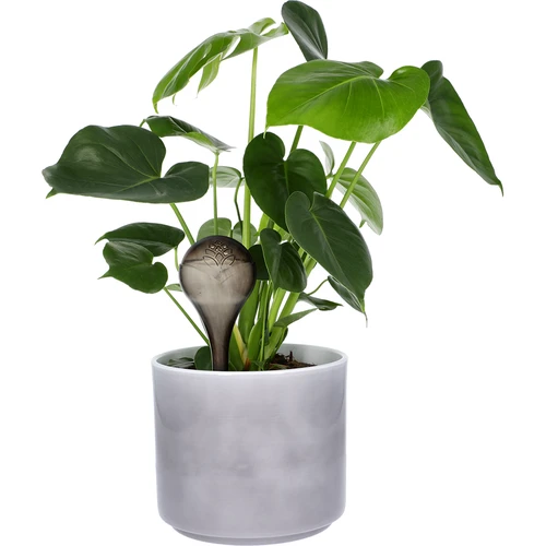 Vandingskugler til planter, sorte gennemsigtige, 400 ml, 2 stk. - 7