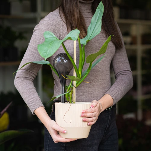 Vandingskugler til planter, sorte gennemsigtige, 400 ml, 4 stk. - 11
