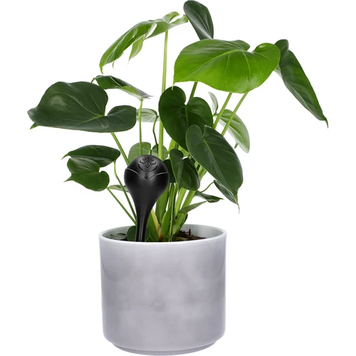 Vandingskugler til planter, sorte matte, 400 ml, 4 stk. - 6