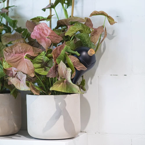 Vandingskugler til planter, sorte matte, med prop, 400ml, 4 stk. - 10