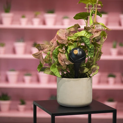 Vandingskugler til planter, sorte matte, med prop, 400ml, 4 stk. - 11