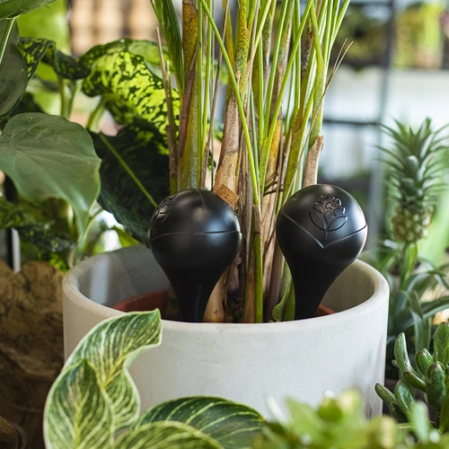 Vandingskugler til planter, sorte matte, med prop, 400ml, 4 stk. - 9