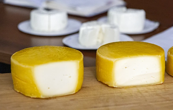 Hjemmelavet gul ost af typen Gouda