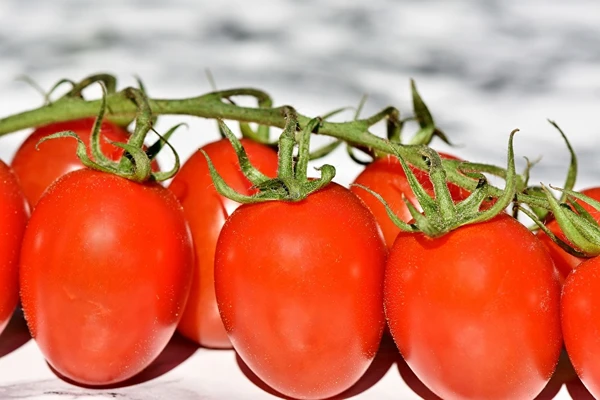 Tomatpuré