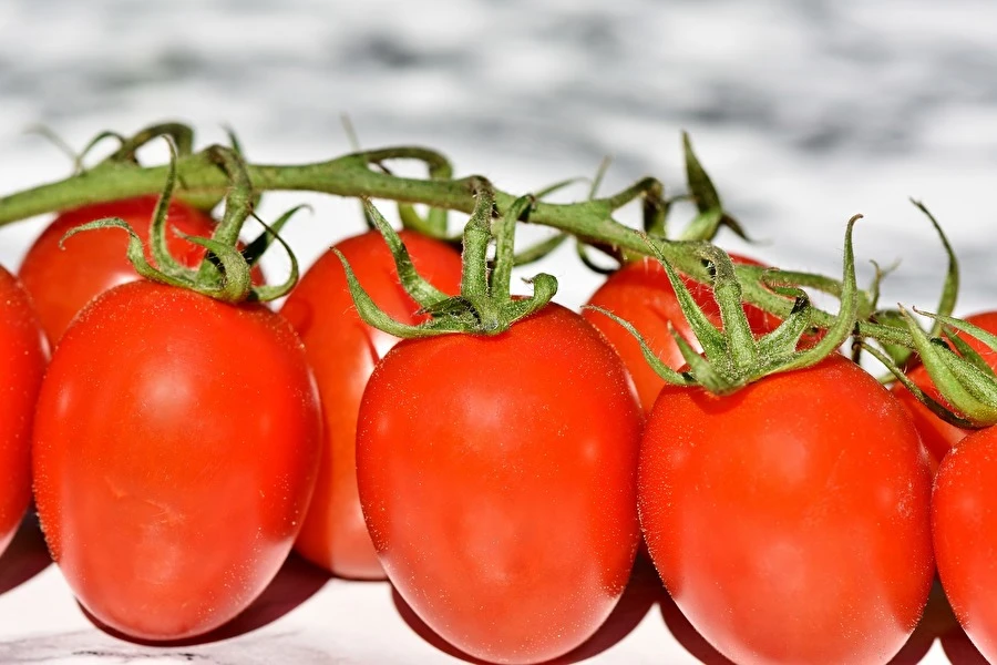 Tomatpuré