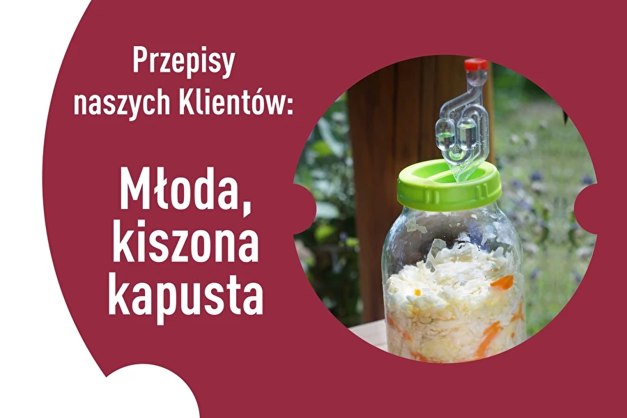 Browin Przepiśnik - Vores kunders opskrifter: Surkål af ung hvidkål